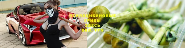 сатива Балабаново