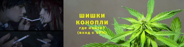 сатива Балабаново