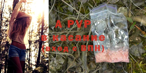 ешки Арсеньев